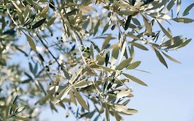 B&B Lavanda E Rosmarino