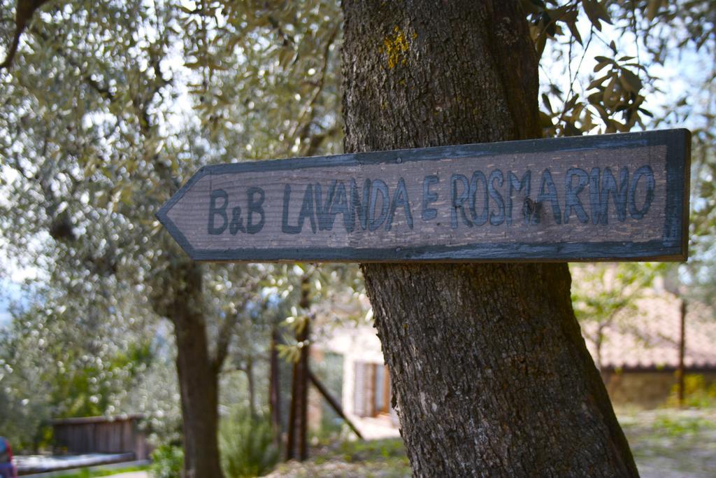 B&B Lavanda E Rosmarino Assisi Exterior foto